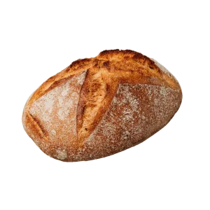Küstenkruste mit Dinkel und Roggen
